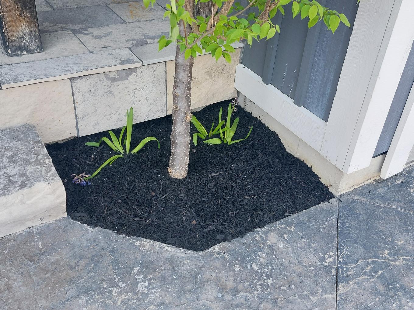 The Snow Down Landscaping