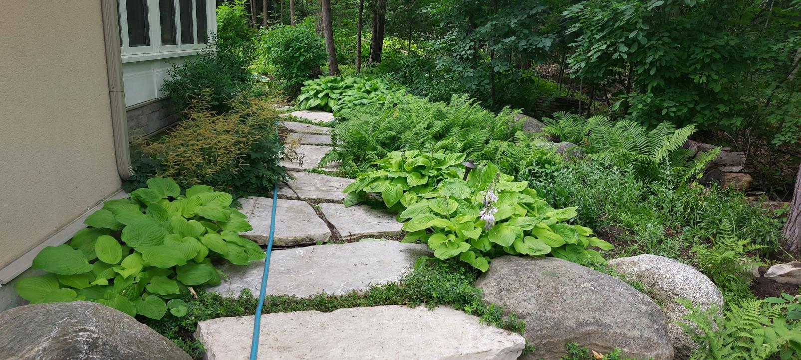 The Snow Down Landscaping