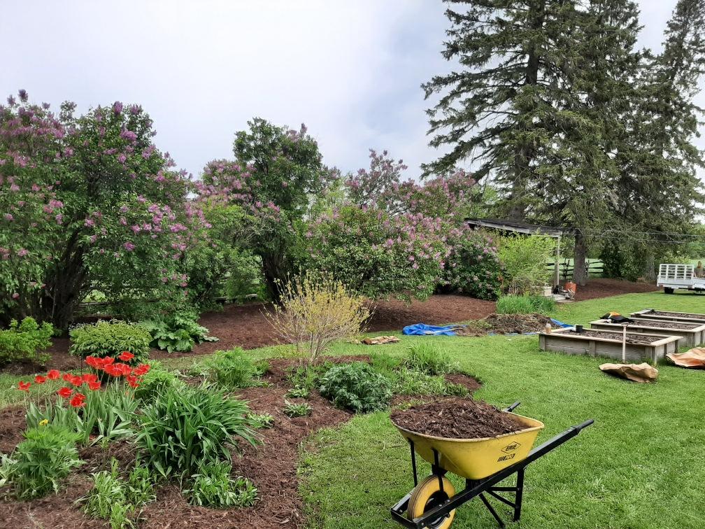 The Snow Down Landscaping