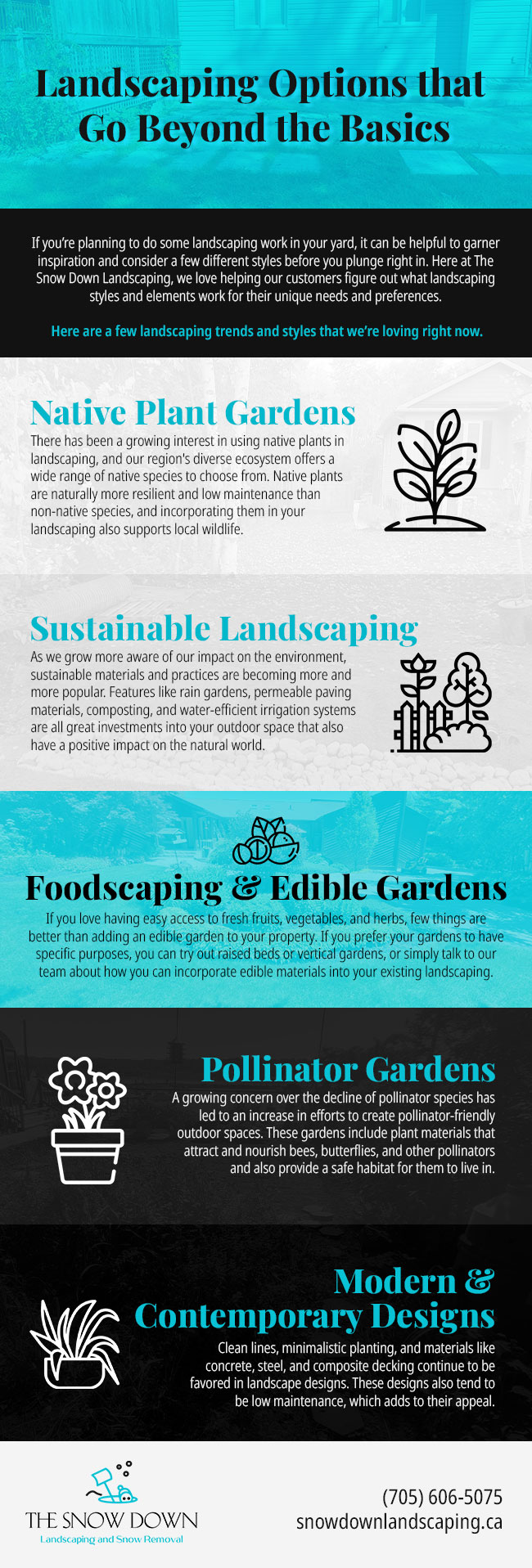 Landscaping Options that Go Beyond the Basics