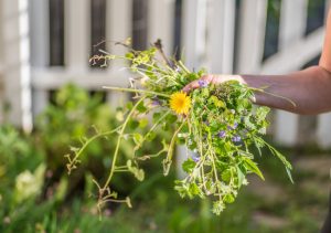 Three Weed Control Tips for a Beautiful, Healthy Garden