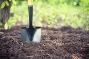 Why You Shouldn’t Forget Mulching This Springtime