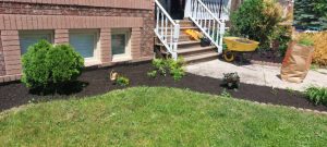 3 Key Benefits of Garden Edging