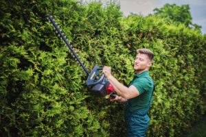 Reasons to Add Hedge Trimming to Your Landscape Maintenance Routine