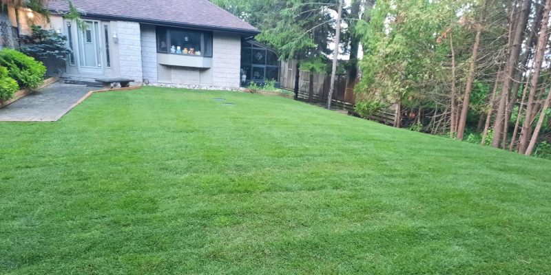Landscaping