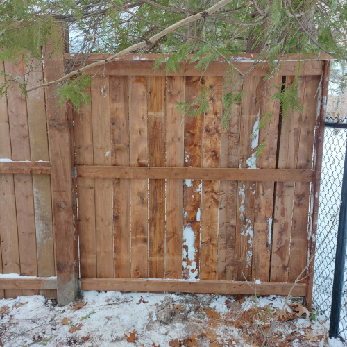 Elevate Your Property with a New Fence!